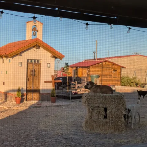 Pequeña capilla blanca con espadaña y campana; delante, los perros descansan sobre unas balas de paja