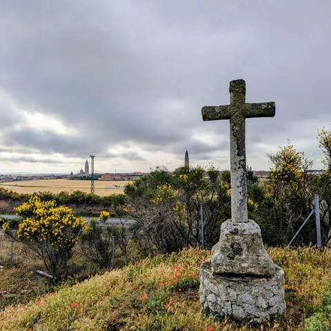 Cruz de piedra cubierta de líquenes entre retamas en flor y amapolas, bajo un cielo nublado