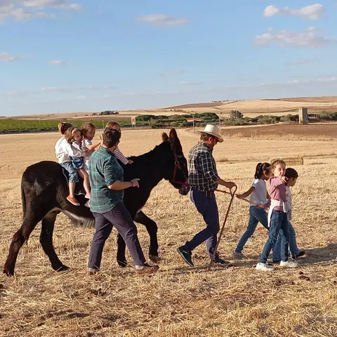 Niños a lomos del burro en un rastrojo, acompañados por adultos